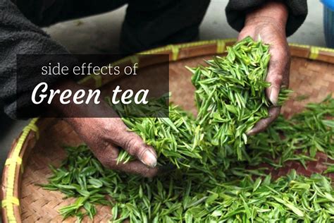 Green tea side effects that might surprise you. Green Tea Side Effects You Must Discover Now - Ayurvedum