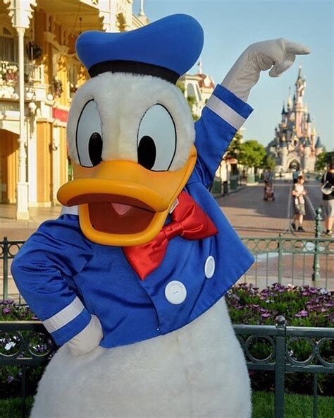 Donald Duck And The Castle Dlp Disneylandparis Dis Flickr