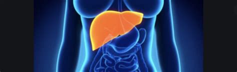 Liver Cancer Treatment At Different Stages Cyberknife Miami