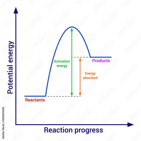 Endothermic Reaction Graph In Chemistry Stock Vector Adobe Stock