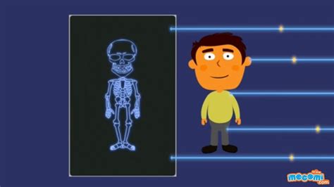 Order it in print, download it onto your digital device or subscribe today to. How do X-rays work? - Human Body Skeleton X-ray | Science for Kids | Educational Videos by ...