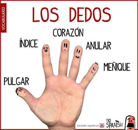 Tio Spanish On Twitter ¿conocéis Como Se Llaman Los Dedos De La Mano