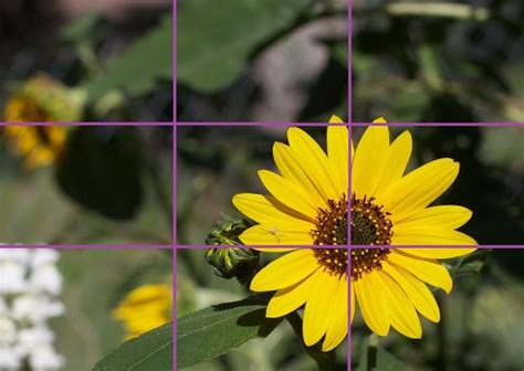 Overview Of Rule Of Thirds Composition With An Example Left Rule Of