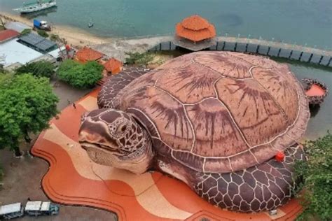 Patung Kura Kura Iconic Ocean Park Jepara Kabar Buana
