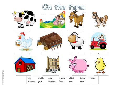 On The Farm Farm Vocabulary Fo English Esl Worksheets Pdf And Doc