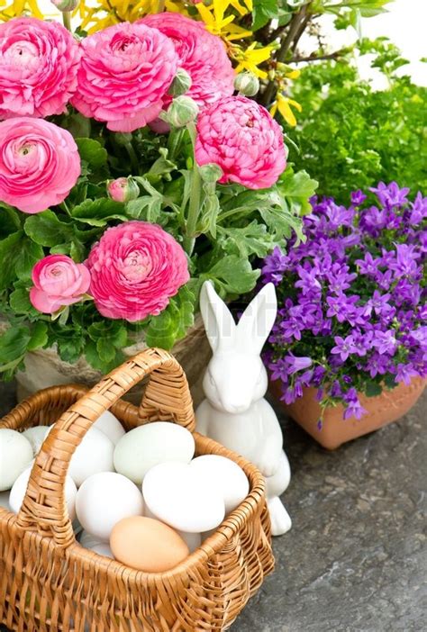 Beautiful Spring Flowers With Easter Decoration Stock Photo Colourbox