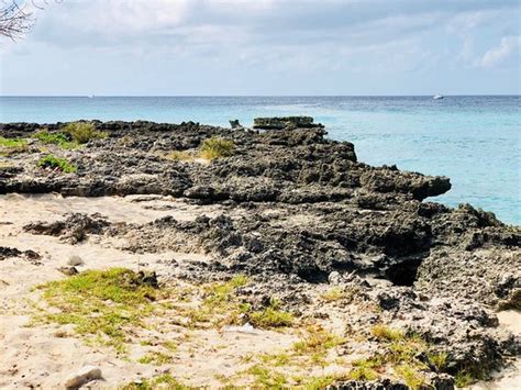Smith Cove Grand Cayman All You Need To Know Before
