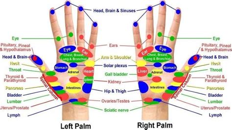 Acupressure Points Chart - For Relieving Pain ...