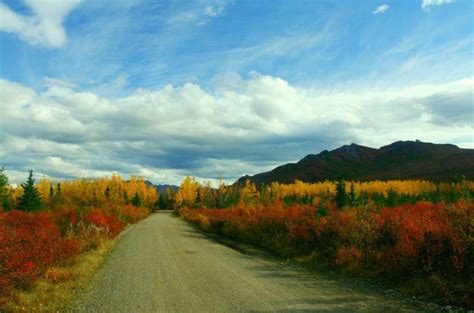11 Reasons Fall Is The Absolute Best Time To Visit Alaska Visit