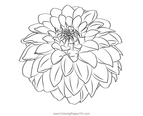 Dahlia 1 Coloring Page For Kids Free Dahlias Printable Coloring Pages
