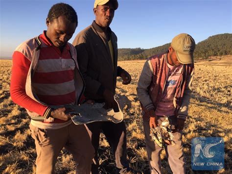 Ethiopian Airlines Says Both Data Voice Recorders On Crashed Aircraft Recovered Xinhua