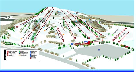 Mount Holly Trail Map Freeride