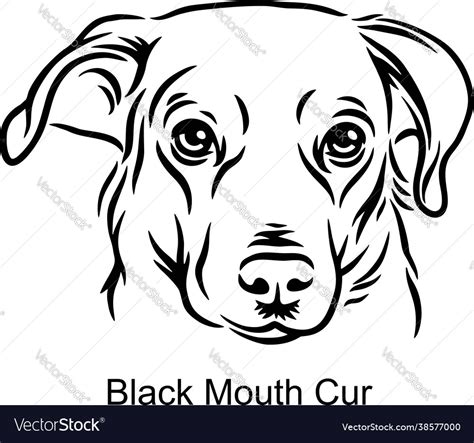Black Mouth Cur Portrait Dog In Line Style Pet Vector Image