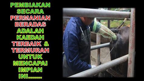(tacb) telah menetapkan prosedur pendaftaran vaksin veterinar di semenanjung malaysia. Jabatan Perkhidmatan Veterinar Negeri Selangor - Panduan ...
