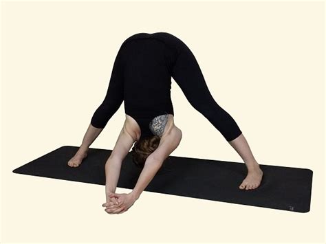 prasarita padottanasana a b c and d wide legged forward bend a b c and d pranayoga