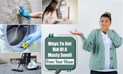 10 Ways To Get Rid Of A Musty Smell In Your House The Tech Edvocate