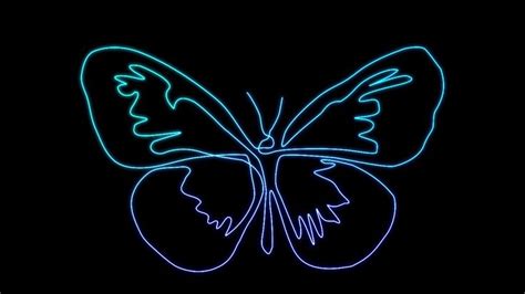 Butterfly Neon Art In 60 Sec Butterfly Drawing Drawing Butterfly