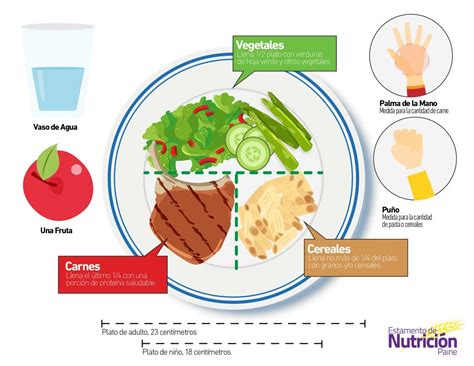 Plato saludable Nutrición Plato alimenticio Plato de comida saludable
