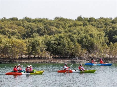Mangrove National Park Abu Dhabi Timings Safari Cost Best Time To