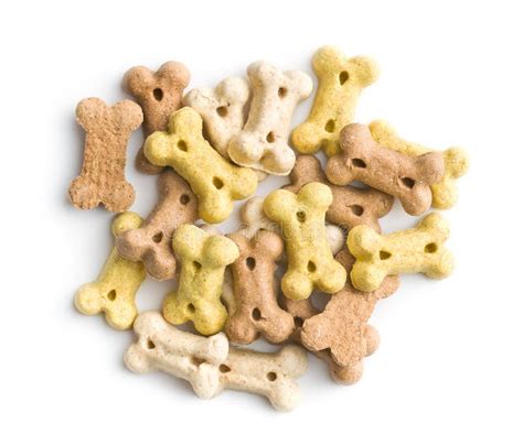 Dog Food Shaped Like Bones Stock Photo Image Of Food Isolated 76765434