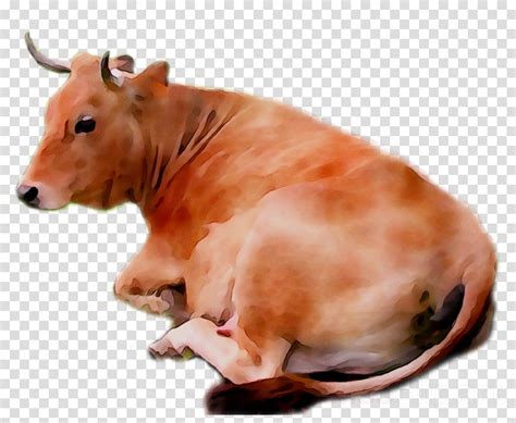 Terkeren 30 Gambar Sapi Kartun Png Kumpulan Kartun Hd Zohal