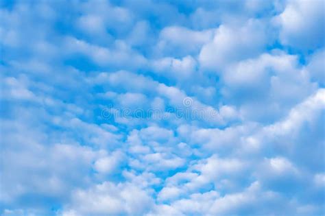 Cielo Azul Y Nubes Blancas Nubes Blancas En Fondo Azul Foto De Archivo