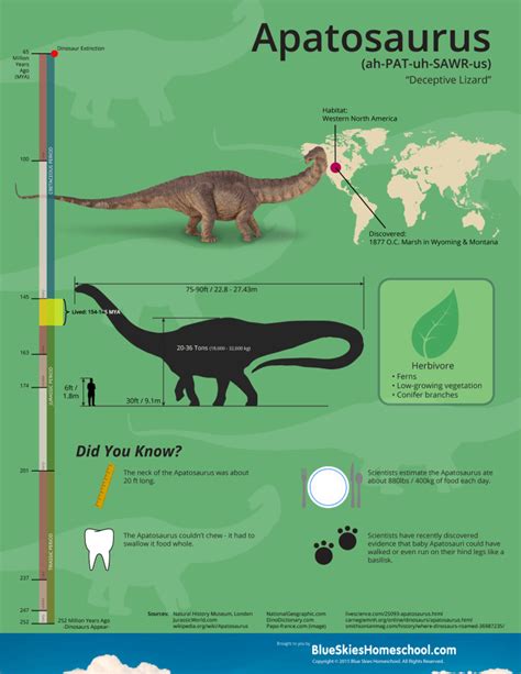 Infografía Apatosaurio Prehistoric Wildlife Prehistoric Dinosaurs