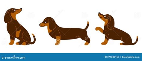 Set Of Cute Purebred Dachshunds In Different Poses Illustration In