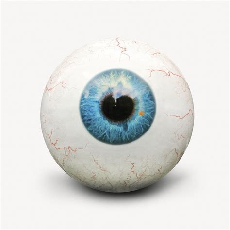 Human Eyeball Sticker Isolated Image Premium Psd Rawpixel