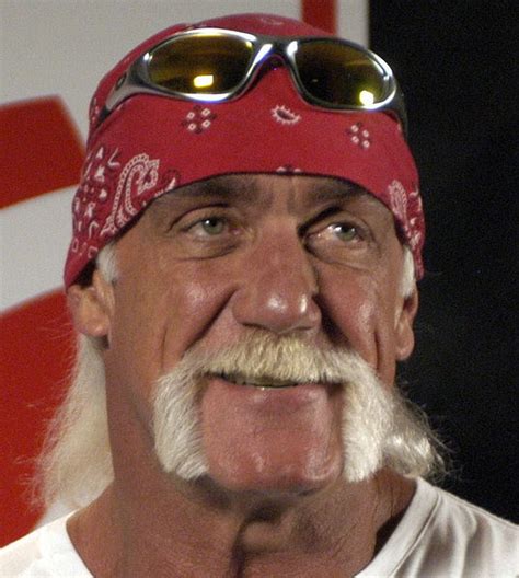 Hulk Hogan Refiles Lawsuit Against Site Dbtechno