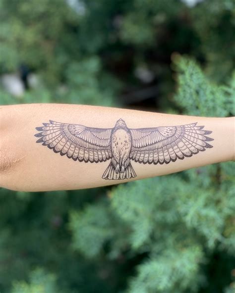 Hawk Temporary Tattoo Collection Red Tailed Hawk Art Birds Etsy