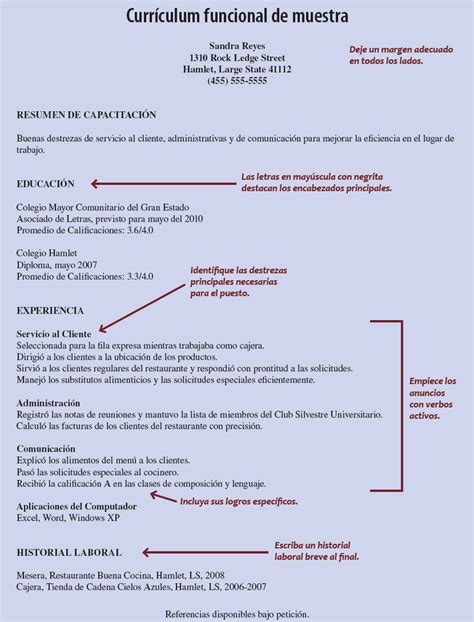 Curriculum Vitae Partes Que Lo Conforman Birthday Letter