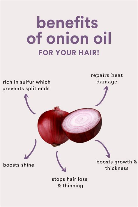 Benefits Of Onion Oil For Hair Growth Onion Oil For Hair Hair