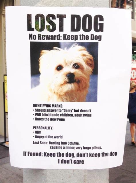 Funny Lost Dog Losing A Dog Dog Signs Losing A Pet