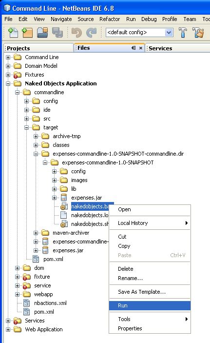 In Perfect Spherical Shape How To Create A Simple Naked Objects Application In Netbeans With