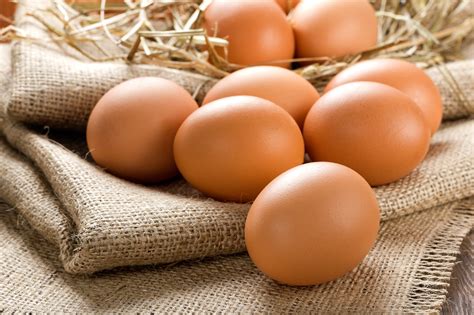 Vše co potřebujete vědět o skladování vajec Panidomu cz