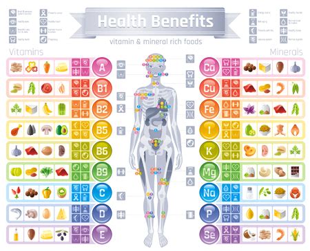 Mineral Vitamin Supplement Icons Health Benefit Flat Vector Icon Set
