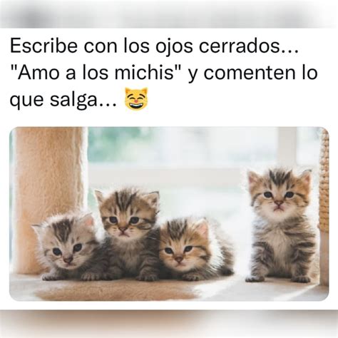 Escribe Con Los Ojos Cerrados Amo A Los Michis Y Comenten Lo Que