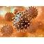Parainfluenza Virus Type 1 Lysate  The Native Antigen Company