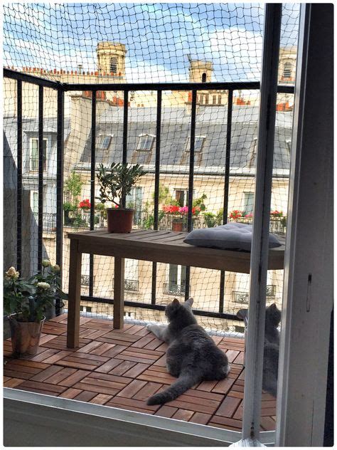 Balcony Catios The Purrfect Solution For Cats That Live In Apartments