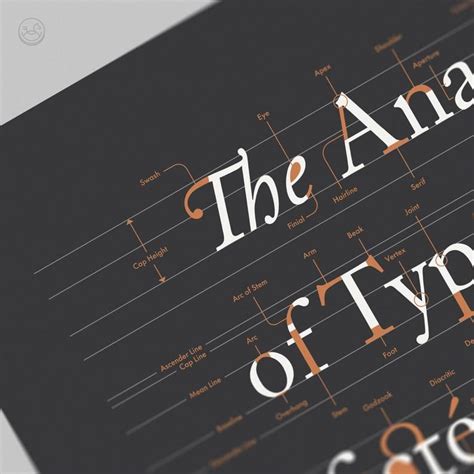 The Anatomy Of Typography Poster Font Design Typography Etsy Anatomy