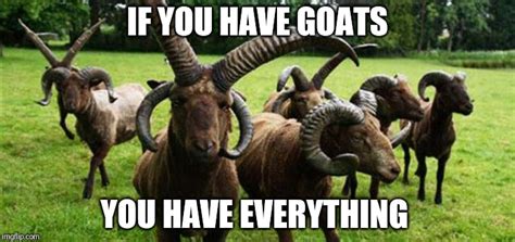 If You Have Goats Imgflip