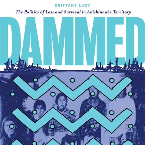 Dammed The Politics Of Loss And Survival In Anishinaabe Territory
