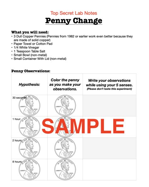 2 In 1 Shiny Pennies Science Experiment Journal With Step By Step