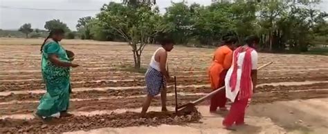 Andhra Pradesh Daughters Plough Field As Dad Cant Afford To Rent