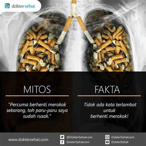 Mitos Dan Fakta Tentang Berhenti Merokok Atmago