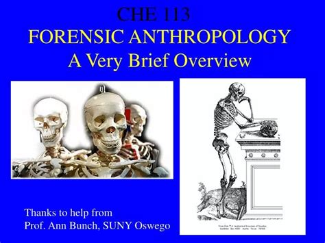 Ppt Forensic Anthropology A Very Brief Overview Powerpoint