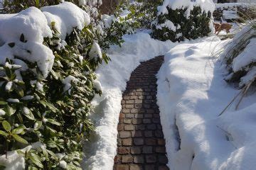 Dabei erklären wir auch, wie sie ihren boden analysieren, um mit dem richtigen kalk ihr grün zu pflegen und moos zu bekämpfen. Garten kalken » Wann ist das nötig und wie wird's gemacht?