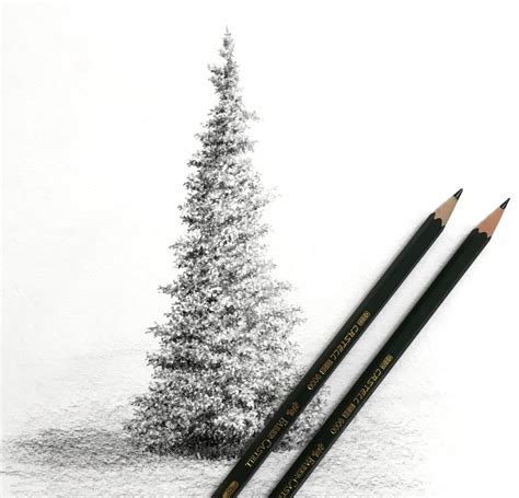 How To Draw Realistic Trees With Pen And Ink Ran Art Blog