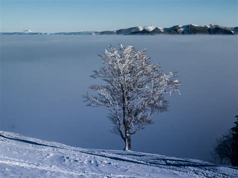 Free Images Snow Cold Winter Fog Lake Mountain Range Ice